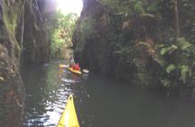 Glowworm Kayak Adventure on the Waikato River