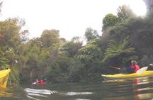 Glowworm Kayak Adventure on the Waikato River