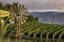 From San Diego Temecula Wine Country Tour