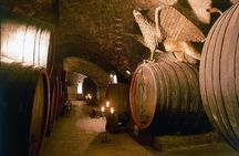From Prague: Private Bohemian Wine Tour & Local Delicacies