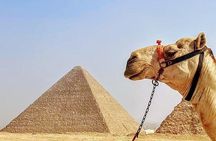 Private Day Trip to Cairo by Plane from Hurghada