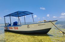 Coastal Explorer and Tropical Boat Ride