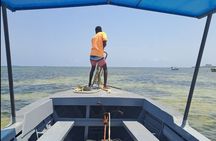 Coastal Explorer and Tropical Boat Ride