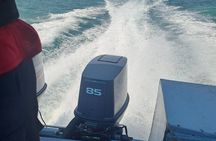 Coastal Explorer and Tropical Boat Ride