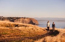 Private Guided Full-Day Godley Head Coastal Hike with Picnic
