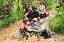 Bali ATV Quad Bike Tour Package, Swing and Rafting 