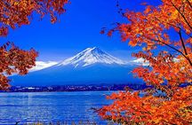 Mt Fuji Full Day Private Tour from Tokyo with English Driver