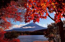 Mt Fuji Full Day Private Tour from Tokyo with English Driver