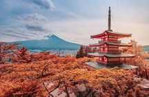 Mt Fuji Full Day Private Tour from Tokyo with English Driver