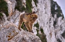 Gibraltar and Mijas Tour from Málaga