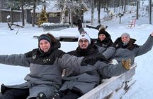 Reindeer Husbandry with Snowmobile Sleigh Ride and Cabin Lunch