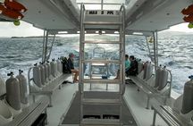 Two-Tank Morning Dive Trip for Certified Divers