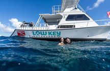 Two-Tank Morning Dive Trip for Certified Divers