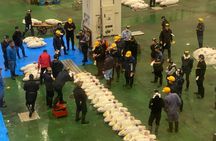 Tokyo: Tuna Auction at Toyosu & Tsukiji Food Walking Tour
