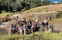 Scenic Horseback Riding in the Medellín Mountains