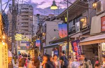 Yanaka and Nezu Walking Tour Discover The Edo Spirit