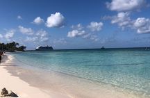 4 Stops Tour: Stingray, Snorkeling, Starfish & 7 Mile Beach 