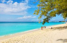 4 Stops Tour: Stingray, Snorkeling, Starfish & 7 Mile Beach 