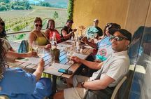 Private Whale Watching and Wine tasting tour