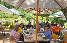 Private Whale Watching and Wine tasting tour