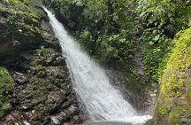 Mindo Cloud Forest Guided Private Tour with Three Fees included