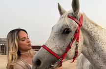 Arabian Horse Riding in Doha