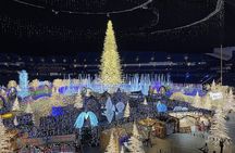 Christmas Lights Wonderland St. Pete Golf Cart Tour