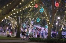 Christmas Lights Wonderland St. Pete Golf Cart Tour