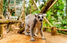 Mauritius South Adventure Crocodile Park Rum Tasting and Lunch