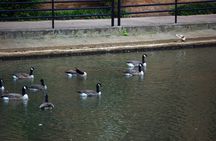 Crossed Roads Greenville Ghosts and More 2 Hour Walking Tour