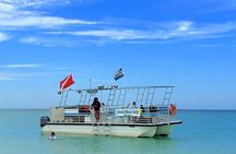 Snorkel Excursions with Good Jibez Only in Panama City Beach