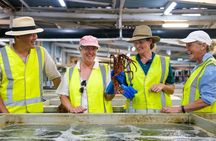 Behind-The-Scenes Ocean Harvest Tour