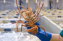 Behind-The-Scenes Ocean Harvest Tour