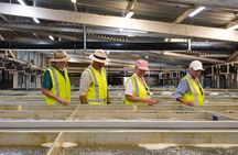 Behind-The-Scenes Ocean Harvest Tour