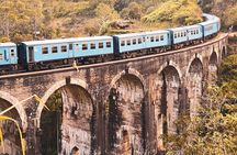 7 Days Tour in Sri Lanka Hotels with Breakfast and Luxury Car