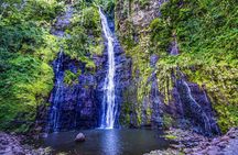 Tahiti Island Discovery – Full Day Private Shore Tour