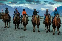 7 Days Private Ladakh India Tour with Transportation