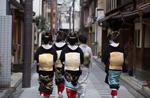 Kyoto Gion Small-Group Cultural Walk: Geisha Traditions Explained