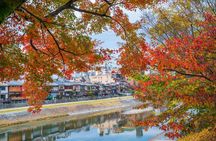 Kyoto Gion Small-Group Cultural Walk: Geisha Traditions Explained