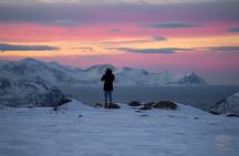 Private Arctic Fjord Roadtrip with Scenic Picnic from Tromso