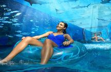 Dubai City Pass: 20+ Attractions, Desert Safari & Bus Tour