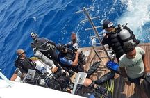 Two Scuba Diving for Beginner with Lunch and Transfer in Hurghada