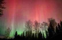 Family Friendly Northern Lights Tour in Rovaniemi