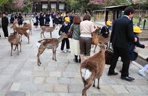 Kyoto and Nara Highlights with English speaking Driver and Guide