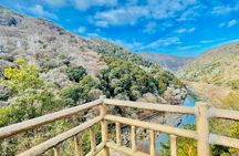 Kyoto and Nara Highlights with English speaking Driver and Guide