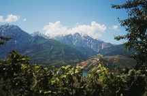 Amirsoy, Chimgan & Charvak Trip with Green Somsa and Tea