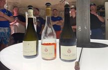 E-bike Tour of the Bellet Vineyards from Nice