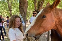 Horseback Riding Tour and Asado in Argentine Countryside