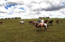 Horseback Riding Tour and Asado in Argentine Countryside