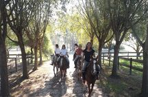 Horseback Riding Tour and Asado in Argentine Countryside